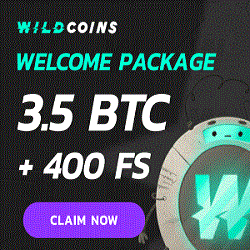 Wildcoins Casino Home