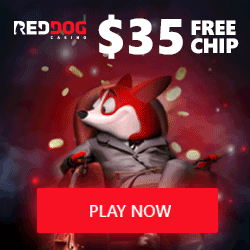 red dog casino free chip codes
